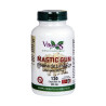 RESINA DE LENTISCO MASTIC GUM 120 CAPSULAS VBYOTICS