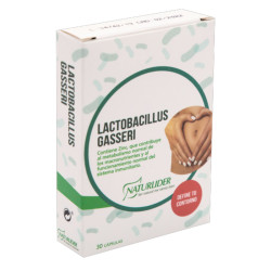 LACTOBACILLUS GASSERI CON...