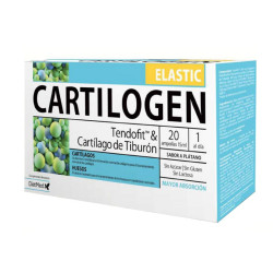 CARTILOGEN ELASTIC 20...